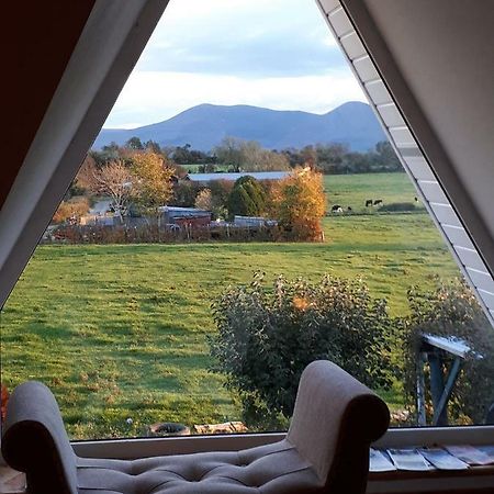 Annaswood B&B Cahir Extérieur photo