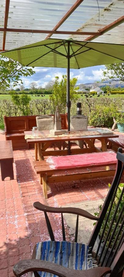 Annaswood B&B Cahir Extérieur photo