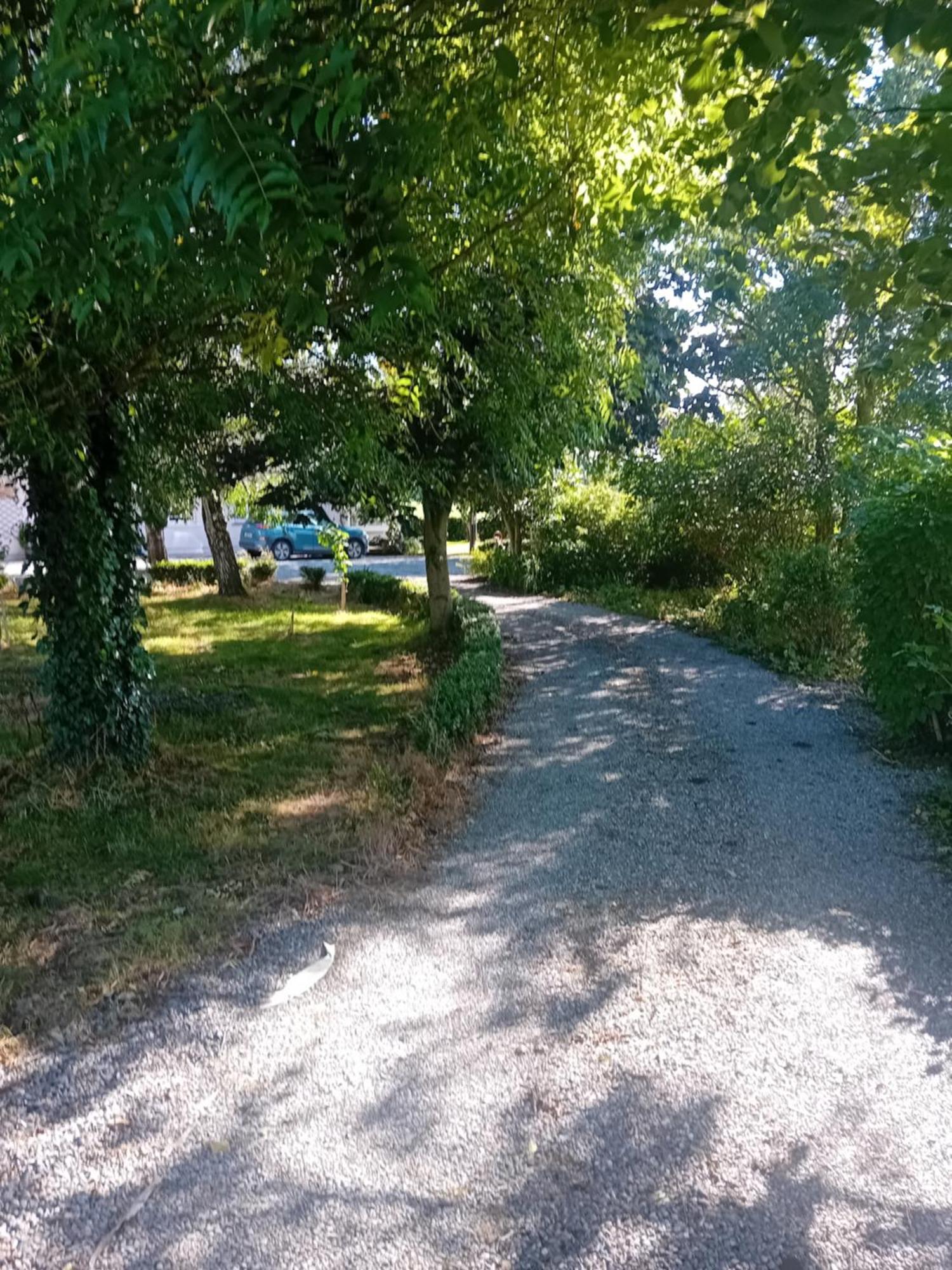 Annaswood B&B Cahir Extérieur photo