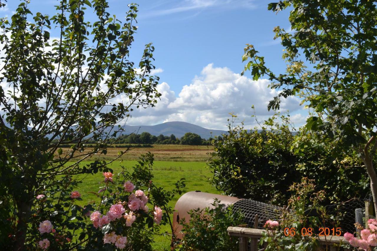 Annaswood B&B Cahir Extérieur photo
