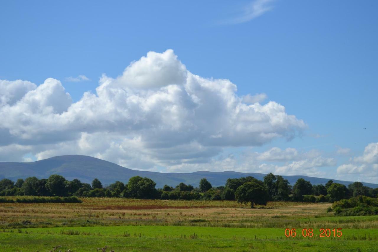 Annaswood B&B Cahir Extérieur photo