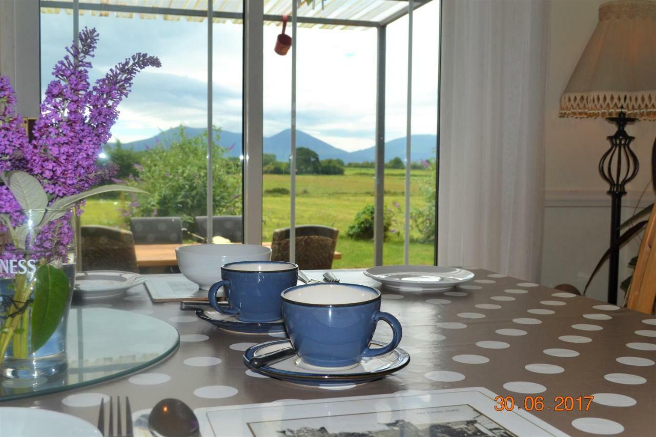 Annaswood B&B Cahir Extérieur photo