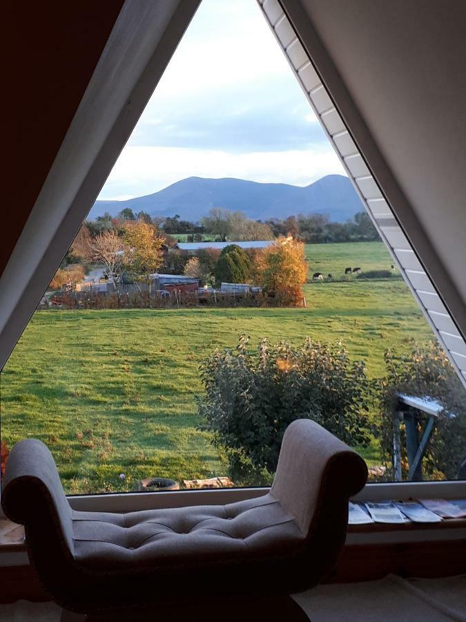 Annaswood B&B Cahir Extérieur photo